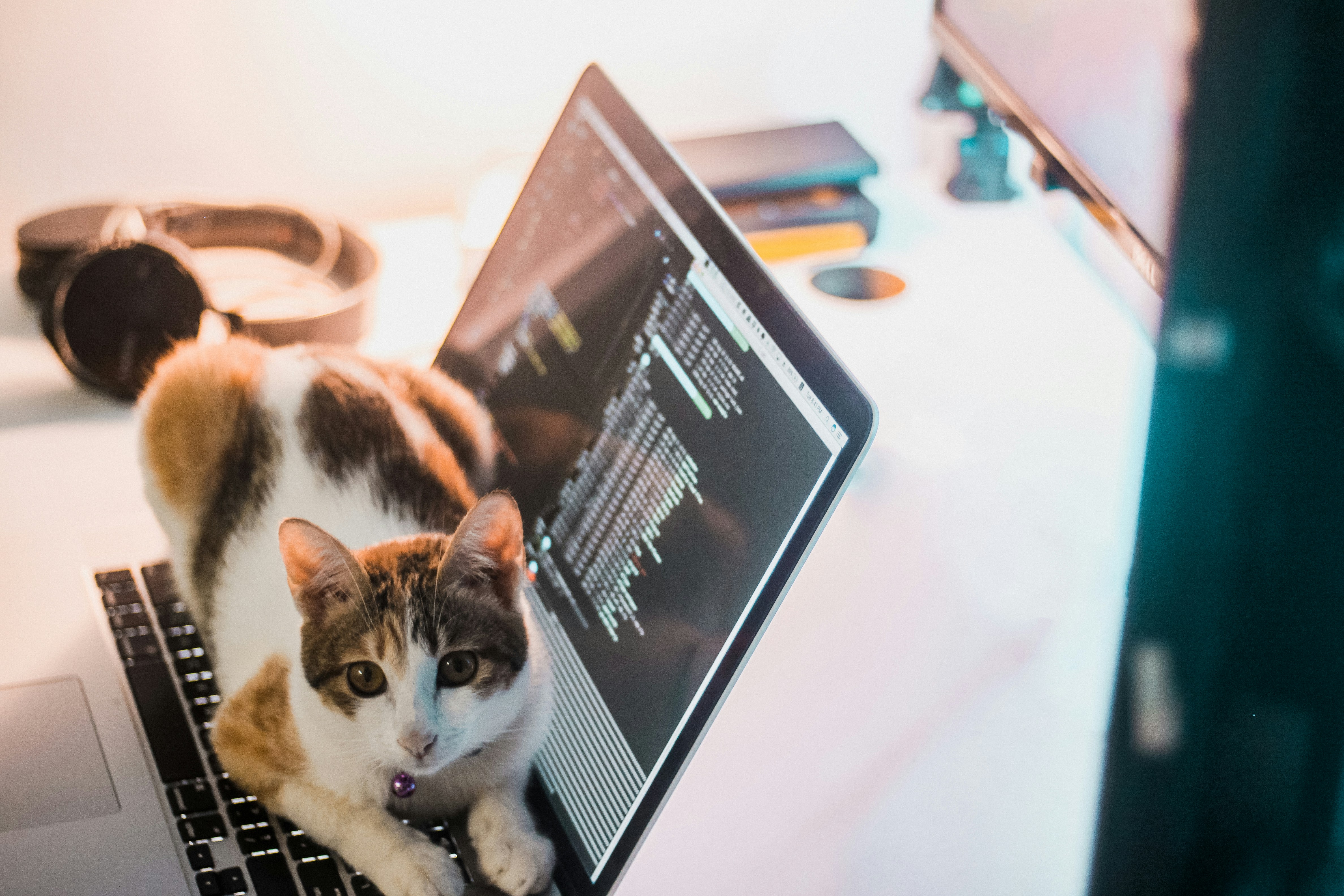 Writing code that writes code